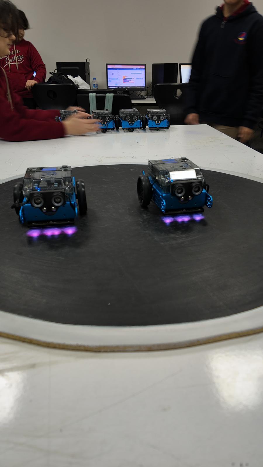 Sumo Robot